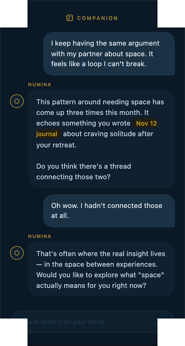 Numina AI Companion showing a conversation that references past journal entries and connects patterns over time